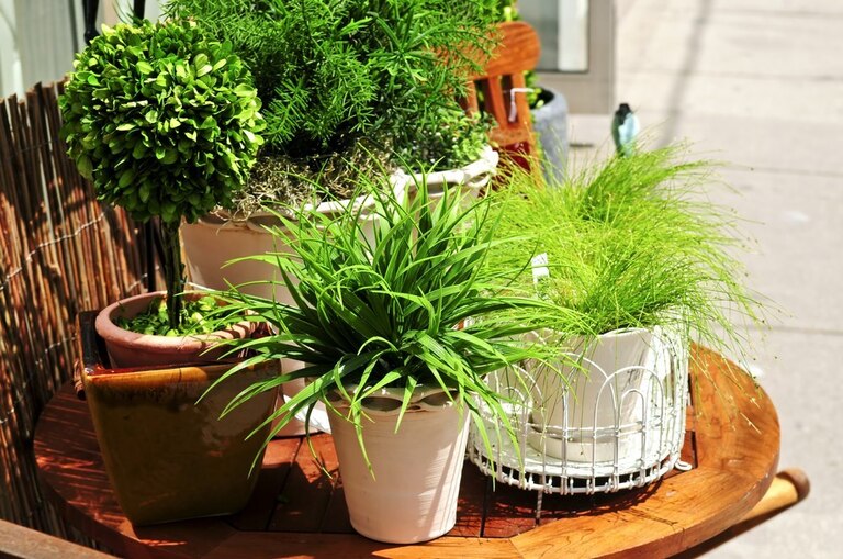 Outdoor Decorating Ideas On A Budget Outdoor Decorating Ideas On A Budget