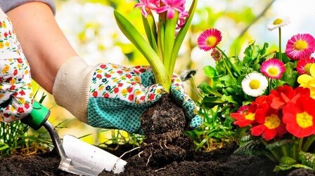 Outdoor Decorating Ideas On A Budget