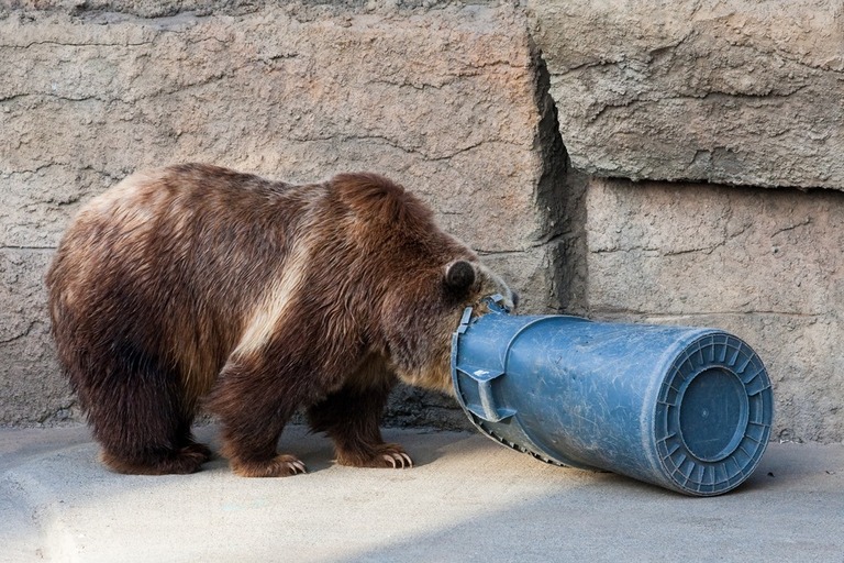 How to Build a Garden Fence to Keep Animals Out? How to Build a Garden Fence to Keep Animals Out?