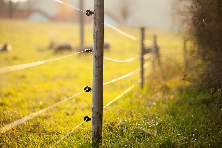 How to Build a Garden Fence to Keep Animals Out? How to Build a Garden Fence to Keep Animals Out?