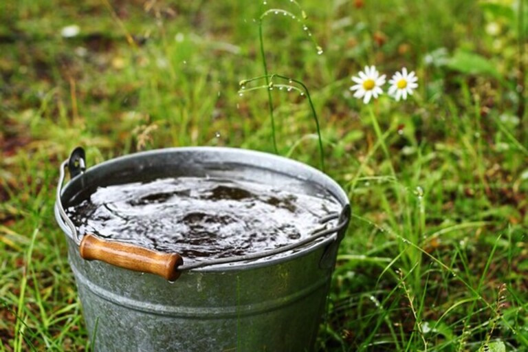 How to Use a Pressure Washer with Detergent? How to Use a Pressure Washer with Detergent?
