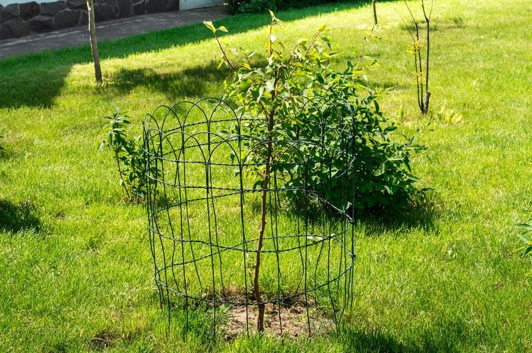 Simple Front Yard Landscaping Ideas on a Budget Simple Front Yard Landscaping Ideas on a Budget