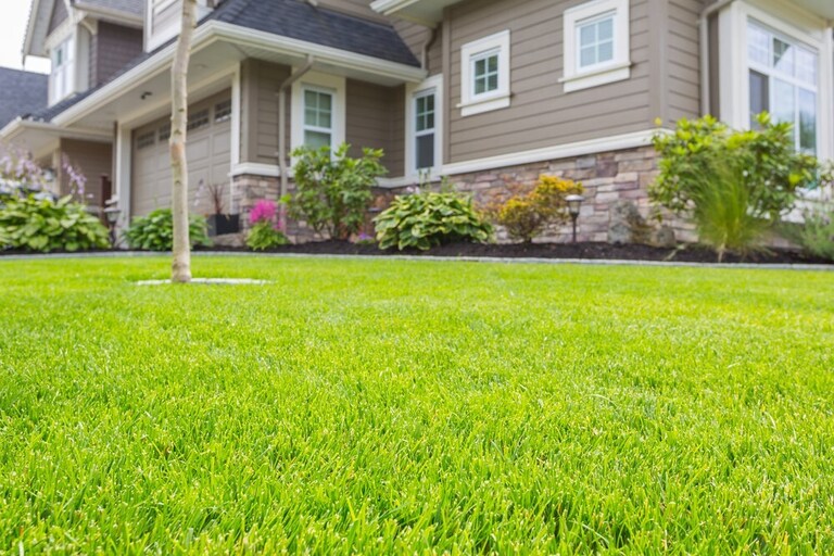 Simple Front Yard Landscaping Ideas on a Budget Simple Front Yard Landscaping Ideas on a Budget