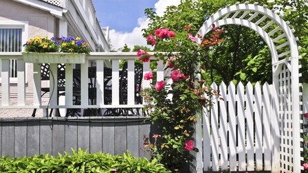 Simple Front Yard Landscaping Ideas on a Budget