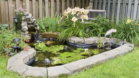 How Do I Make My Garden Pond Look Natural?