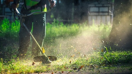 6 Best Long-Handled Weeding Tools of 2025