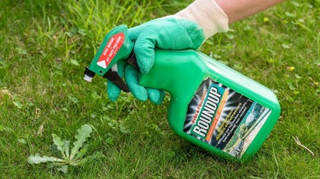6 Most Effective Organic Weed Killers of 2025