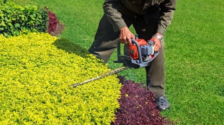 8 Most Powerful Hedge Trimmers of 2025