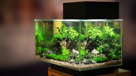 Best Small Wavemaker for Aquarium of 2025: Top 6 Picks Best Small Wavemaker for Aquarium of 2025: Top 6 Picks