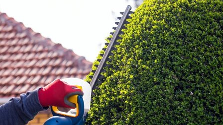 9 Best Lightweight Hedge Trimmers of 2025