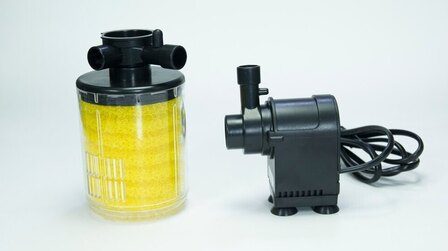 Best Aquarium Air Pump for Multiple Tanks of 2025: Top 6 Picks