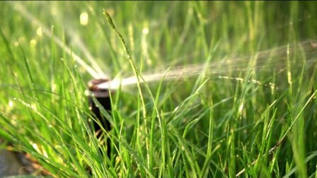 5 Best Motion Activated Sprinklers of 2025 5 Best Motion Activated Sprinklers of 2025