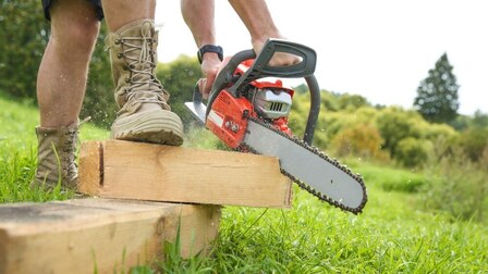 6 Best Top Handle Chainsaws of 2025