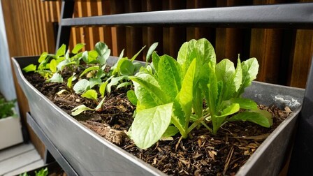 6 Best Self Watering Planters of 2025 6 Best Self Watering Planters of 2025