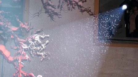 6 Best Christmas Light Projectors of 2025