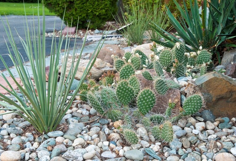 Simple Rock Garden Ideas Simple Rock Garden Ideas
