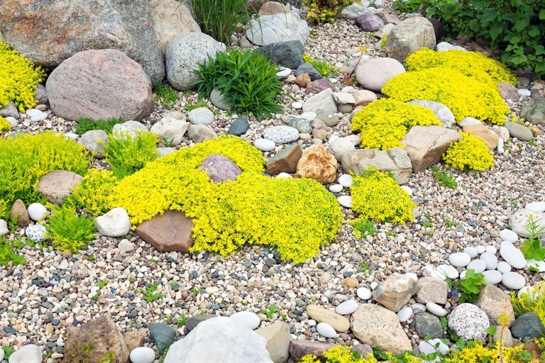 Simple Rock Garden Ideas Simple Rock Garden Ideas