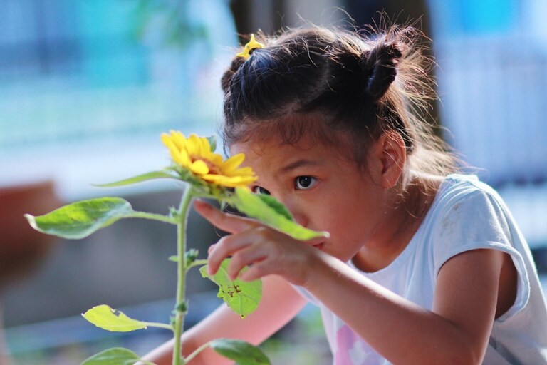 What Grows Well In A Tower Garden? What Grows Well In A Tower Garden?