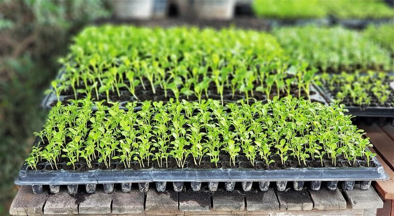 Profitable Small Farm Ideas Profitable Small Farm Ideas