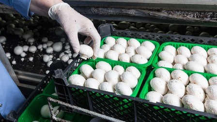 Profitable Small Farm Ideas Profitable Small Farm Ideas