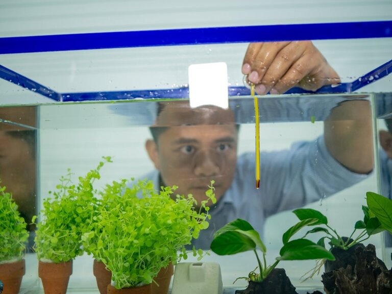 How To Raise The Temperature In A Fish Tank Without A Heater? How To Raise The Temperature In A Fish Tank Without A Heater?