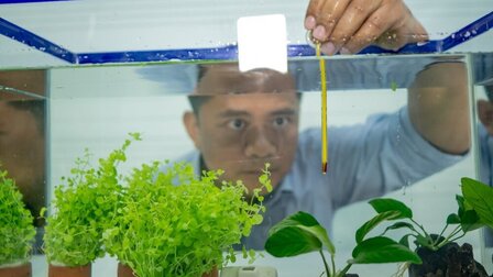 How To Raise The Temperature In A Fish Tank Without A Heater?