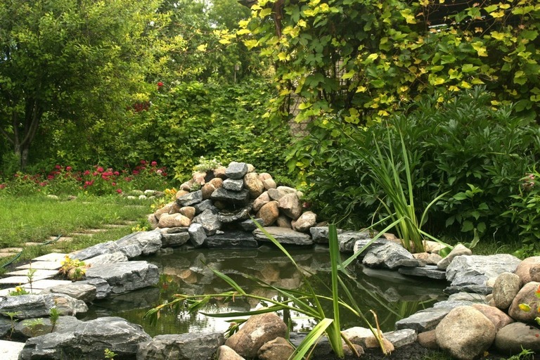 How To Build A Fish Pond Above Ground? How To Build A Fish Pond Above Ground?