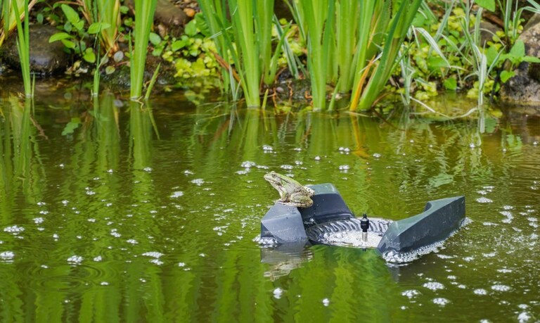 How To Build A Fish Pond Above Ground? How To Build A Fish Pond Above Ground?