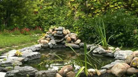 How To Build A Fish Pond Above Ground?