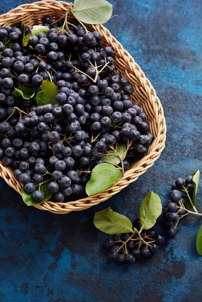Best Indoor Fruit Trees Best Indoor Fruit Trees