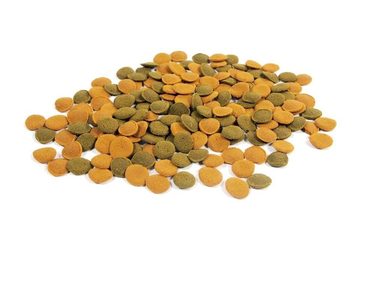 Best Goldfish Food Brands of 2025 Best Goldfish Food Brands of 2025