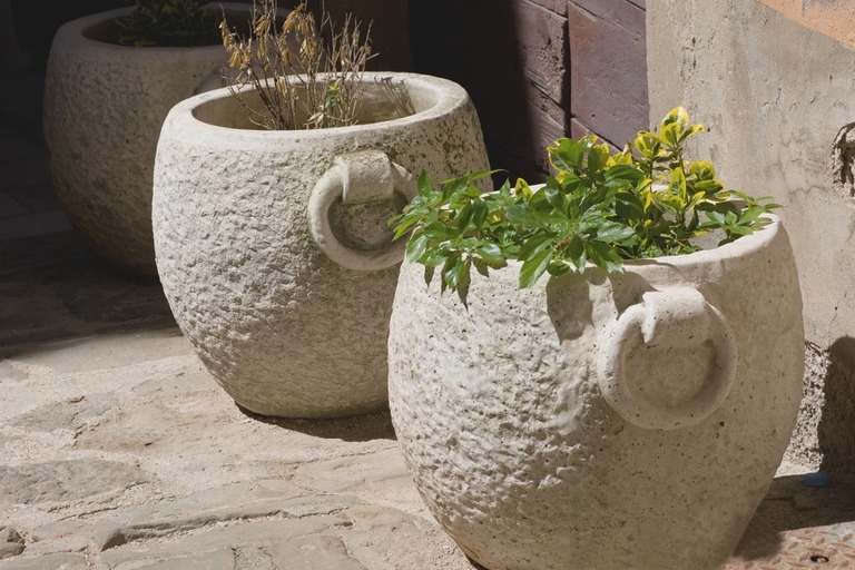 How To Protect Potted Plants From Wind? How To Protect Potted Plants From Wind?