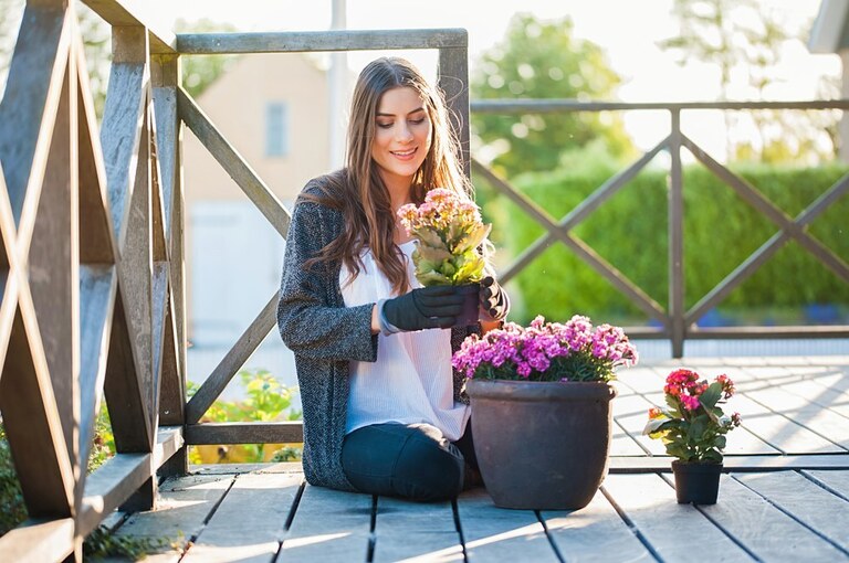 How To Protect Potted Plants From Wind? How To Protect Potted Plants From Wind?