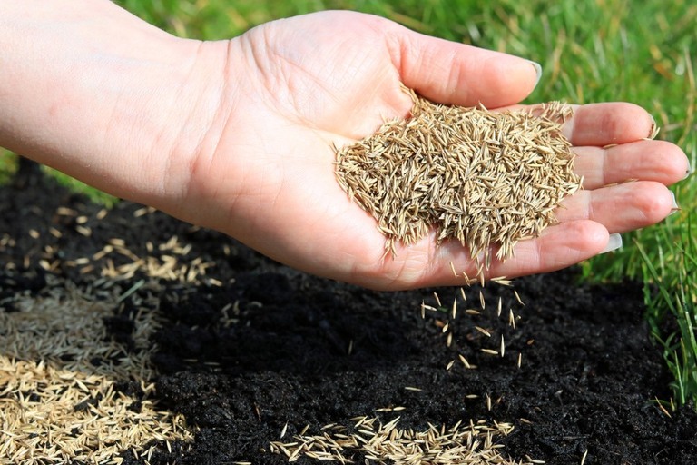How To Grow Grass In Clay Soil? How To Grow Grass In Clay Soil?