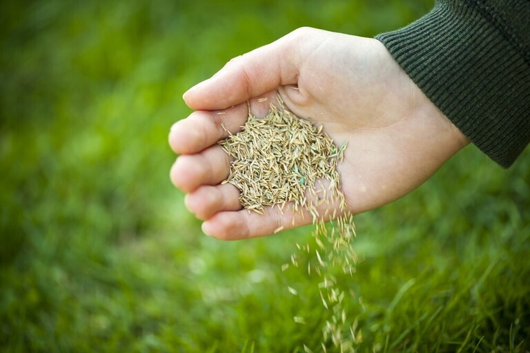 How To Grow Grass In Clay Soil? How To Grow Grass In Clay Soil?
