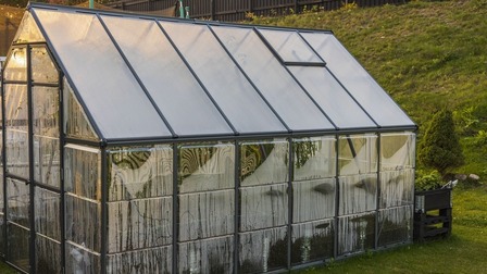 How To Protect Potted Plants From Wind?