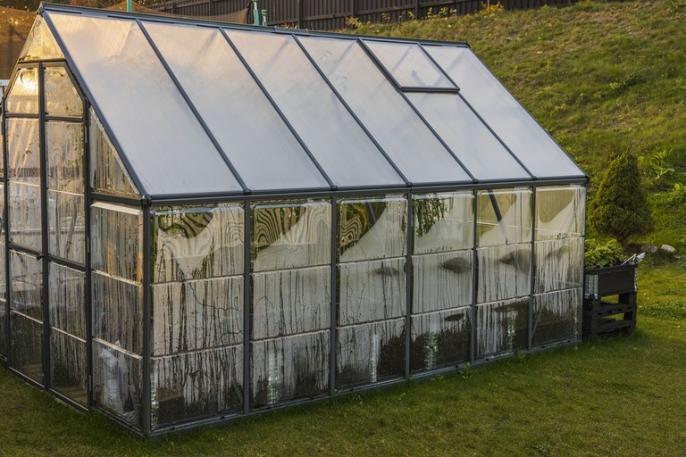 How To Protect Potted Plants From Wind? How To Protect Potted Plants From Wind?