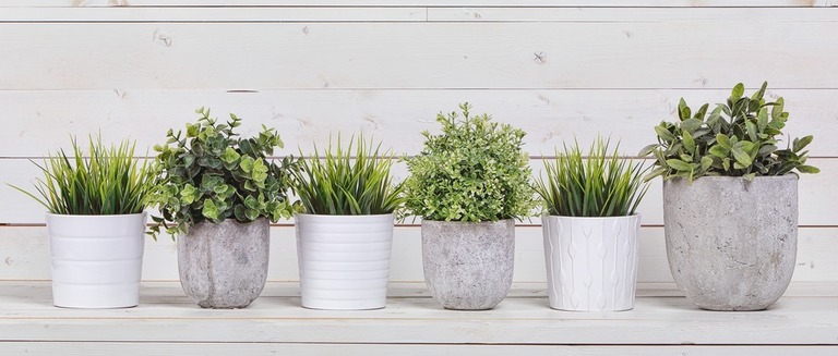 How To Protect Potted Plants From Wind? How To Protect Potted Plants From Wind?