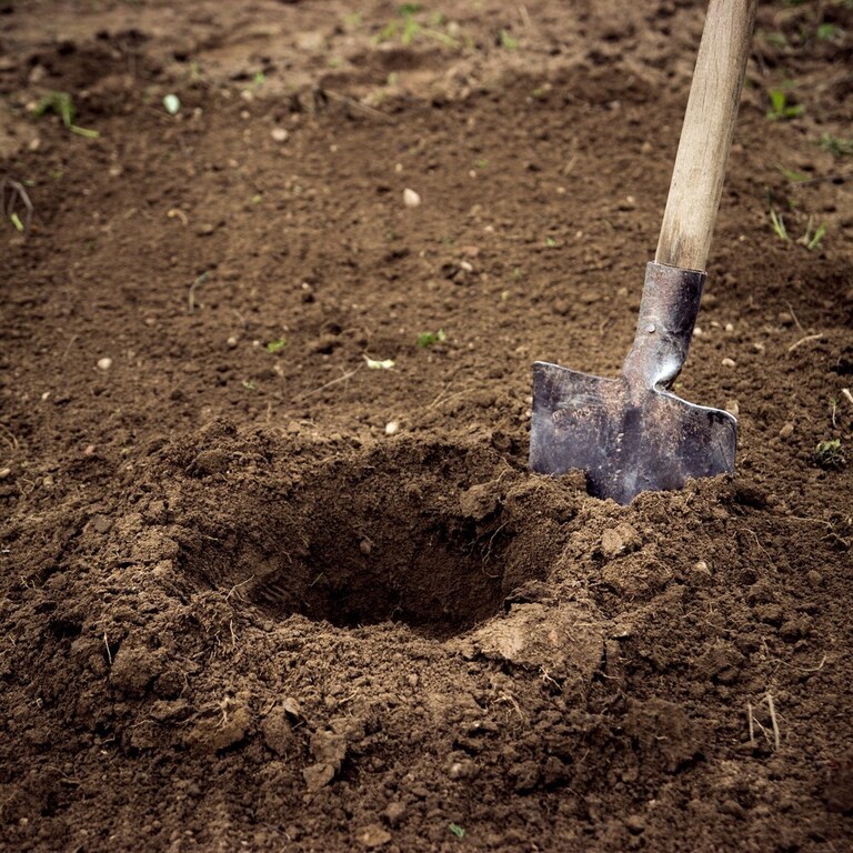 How To Get Rid Of Dog Poop In The Yard Without Scooping? How To Get Rid Of Dog Poop In The Yard Without Scooping?