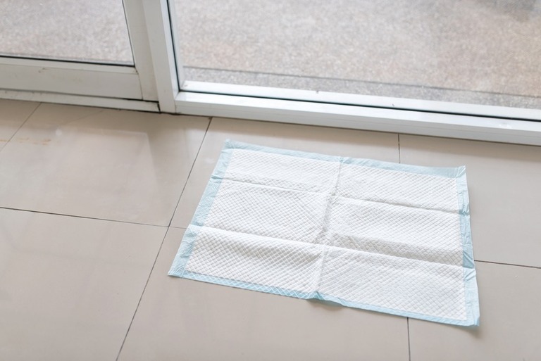 How To Get Rid Of Dog Poop In The Yard Without Scooping? How To Get Rid Of Dog Poop In The Yard Without Scooping?