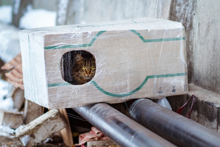 How To Make A Heated Outdoor Cat House? How To Make A Heated Outdoor Cat House?