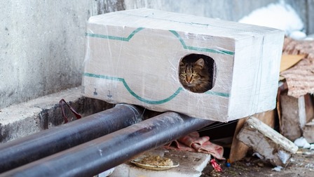 How To Make A Heated Outdoor Cat House?