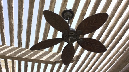 4 Best Outdoor Ceiling Fans For Salt Air In Coastal Areas of 2025