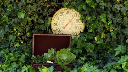 6 Best Decorative Outdoor Thermometers of 2025