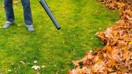 8 Most Powerful Cordless Leaf Blowers of 2025 8 Most Powerful Cordless Leaf Blowers of 2025