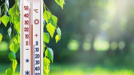 6 Best Analog Outdoor Thermometers of 2025