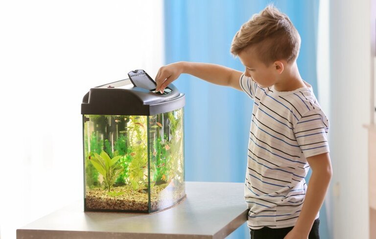How To Keep A Fish Tank Clean Without Changing The Water? How To Keep A Fish Tank Clean Without Changing The Water?