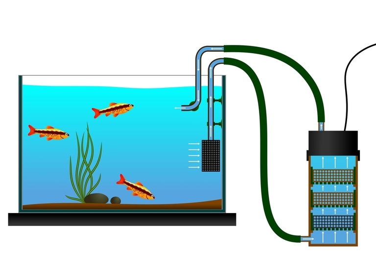 How To Keep A Fish Tank Clean Without Changing The Water? How To Keep A Fish Tank Clean Without Changing The Water?