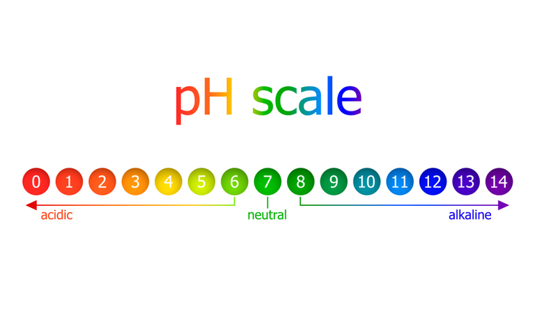 How To Raise pH In Reef Tank Without Raising Alkalinity How To Raise pH In Reef Tank Without Raising Alkalinity