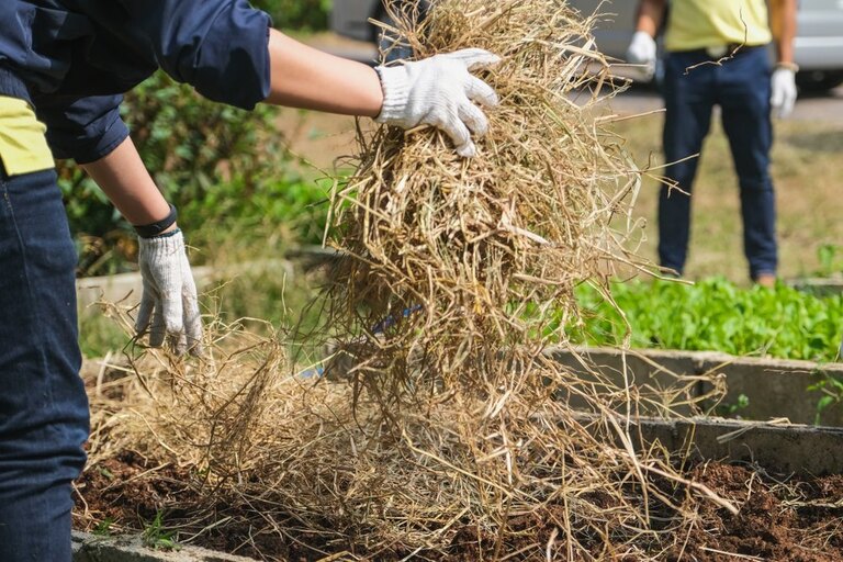 How To Protect Vegetable Gardens From The Snow? How To Protect Vegetable Gardens From The Snow?